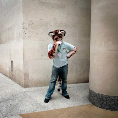 The Furries